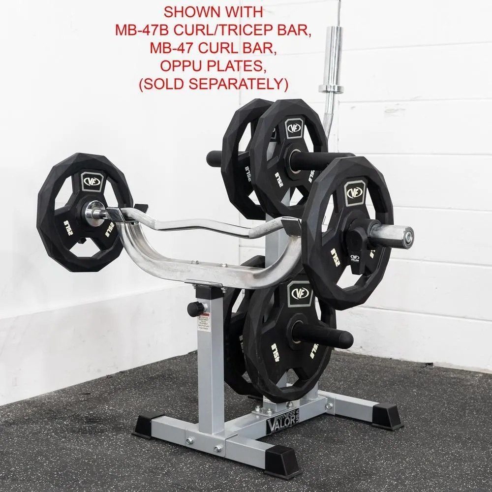 Curl Bar Stand w/ Olympic Plate and Barbell Storage