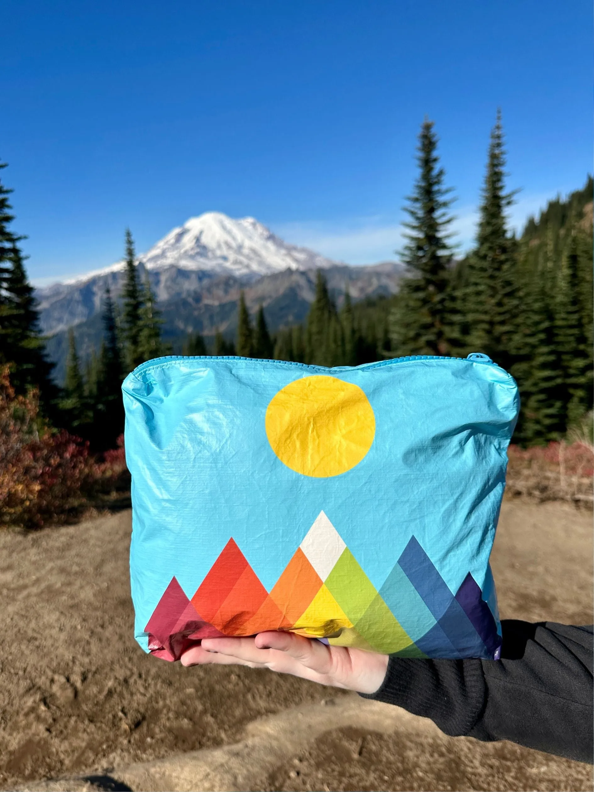 Medium Zipper Pack in Mountain Brights