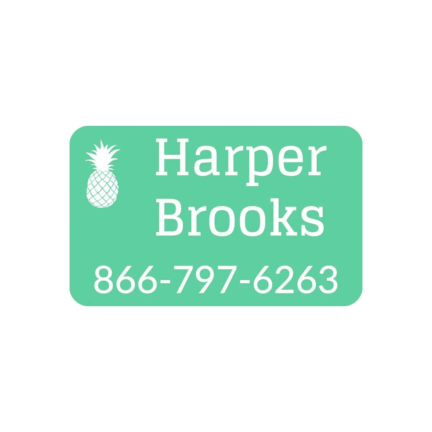 Pineapple Iron-On Clothing Labels