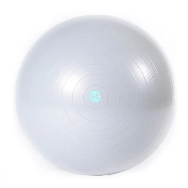 Reebok Gymball Ng Fitness Gym Ball Silver Rab-11015B