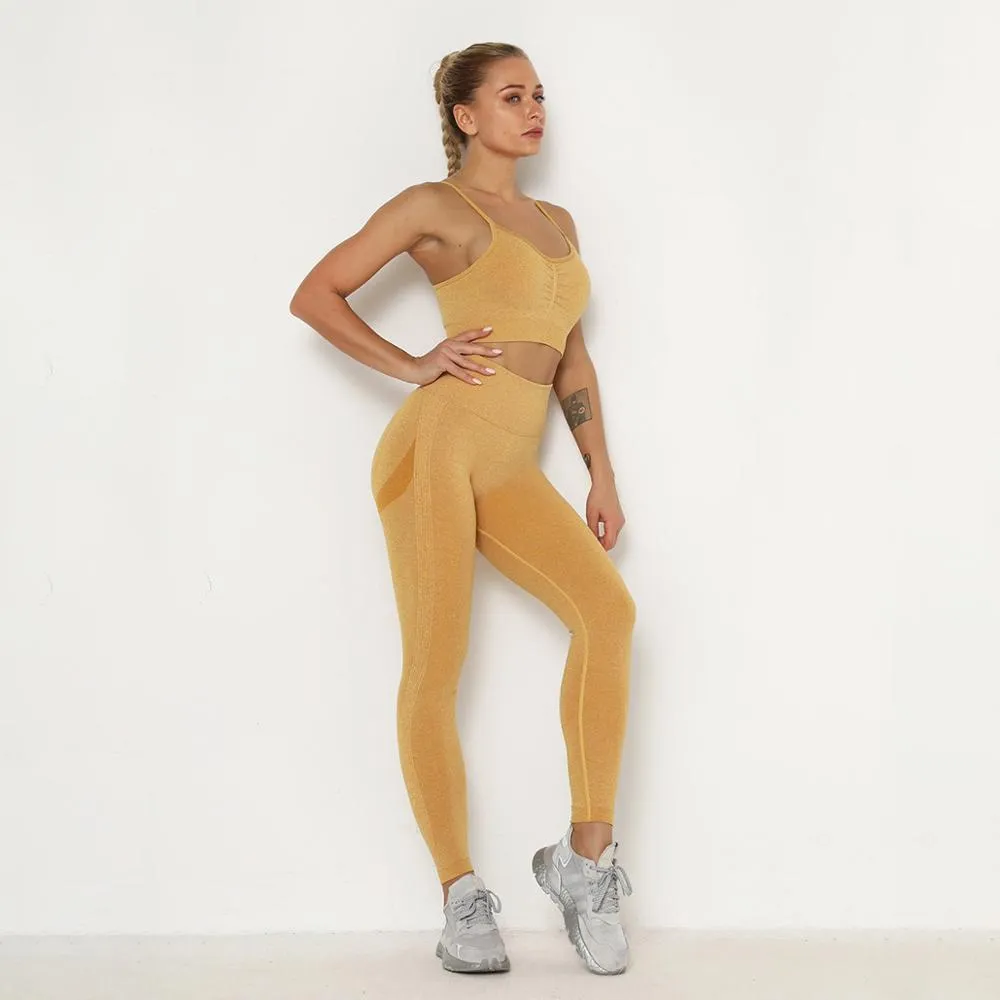 Yoga Set Sports Suit Women Workout Sports Outfit Fitness Set Wear